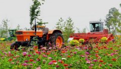 “十三五”大思路規劃， 哪些決定將影響農業行業