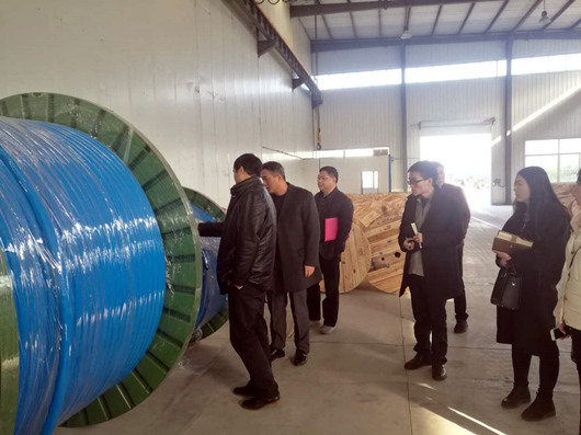 安徽滁州創(chuàng)建國家高新區(qū)規(guī)劃編制調(diào)研成果會(huì)順利召開