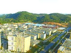 金山：區鎮聯動,共同推進金山區 “十四五”產業規劃工作