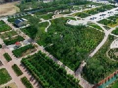 膠州、萊西獲選山東省省級現(xiàn)代農(nóng)業(yè)產(chǎn)業(yè)園建設(shè)主體