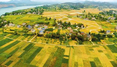 經(jīng)濟(jì)轉(zhuǎn)型，要抓縣域經(jīng)濟(jì)牛鼻子？