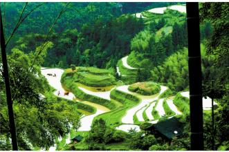 三部門聯(lián)合發(fā)文推進山水林田湖生態(tài)保護修復工程