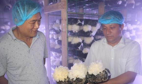 中國(guó)高新技術(shù)經(jīng)濟(jì)研究院來(lái)萬(wàn)寶新區(qū)調(diào)研