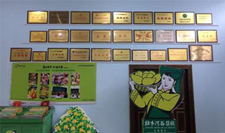 “芒果百色，香飄百地” 國(guó)內(nèi)首家芒果精深加工特色產(chǎn)業(yè)基地申報(bào)進(jìn)行時(shí)