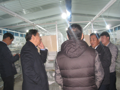 太行山革命老區(qū),阜平縣鄉(xiāng)村振興正當(dāng)時(shí)