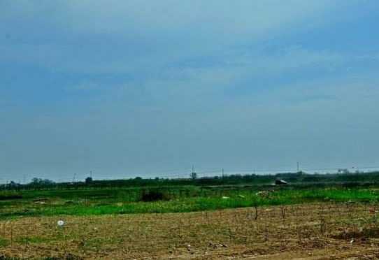 滄州150個(gè)現(xiàn)代農(nóng)業(yè)園區(qū)助力鄉(xiāng)村振興