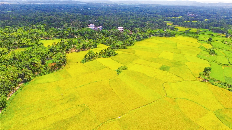 美國大農(nóng)場(chǎng)、以色列滴灌、德國高科技……農(nóng)業(yè)大國哪家強(qiáng)？