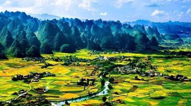 特色產(chǎn)業(yè)引領鄉(xiāng)村振興