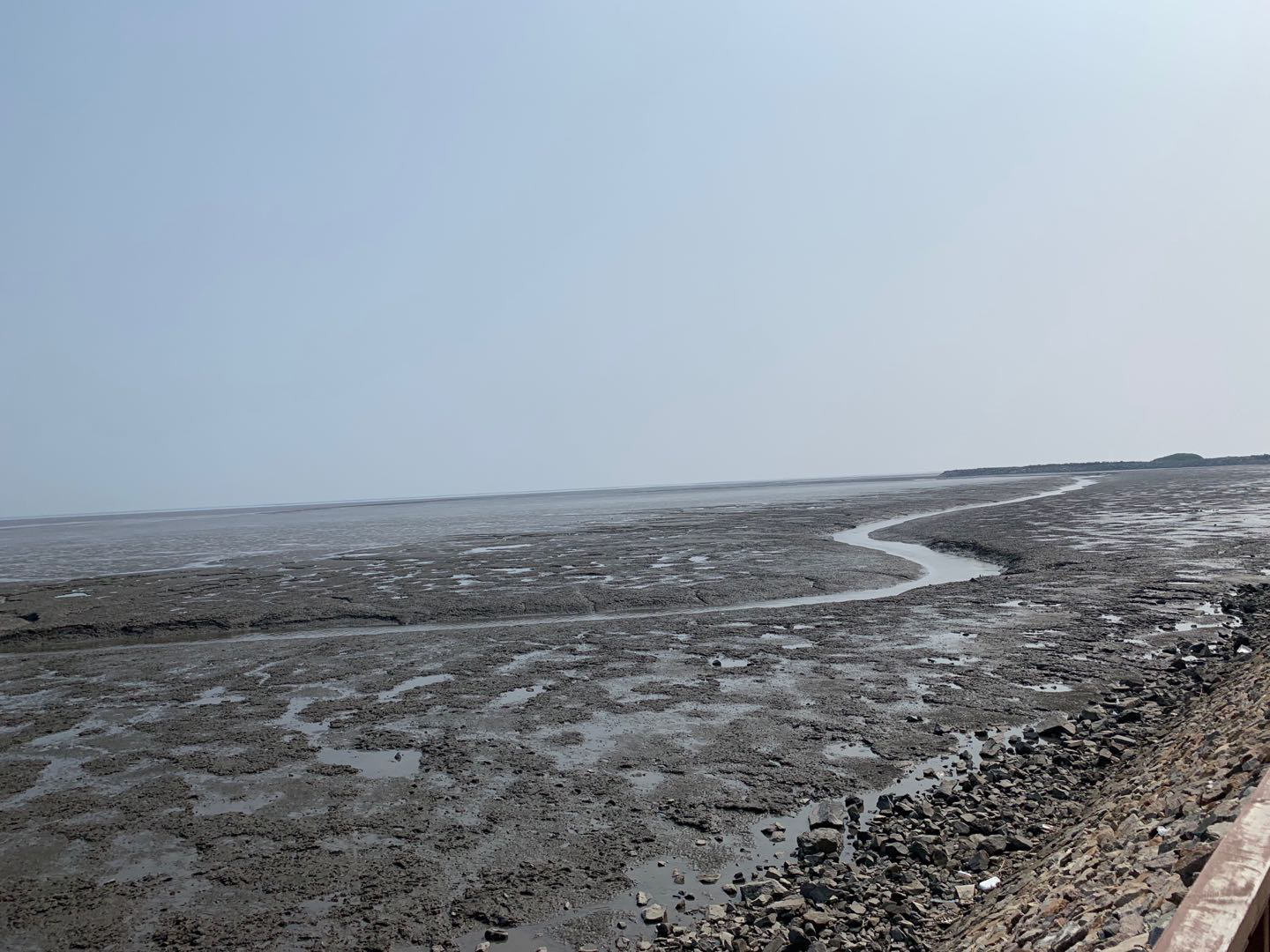 依托貝類(lèi)優(yōu)勢(shì)，遼寧省東港市積極創(chuàng)建省級(jí)現(xiàn)代農(nóng)業(yè)產(chǎn)業(yè)園