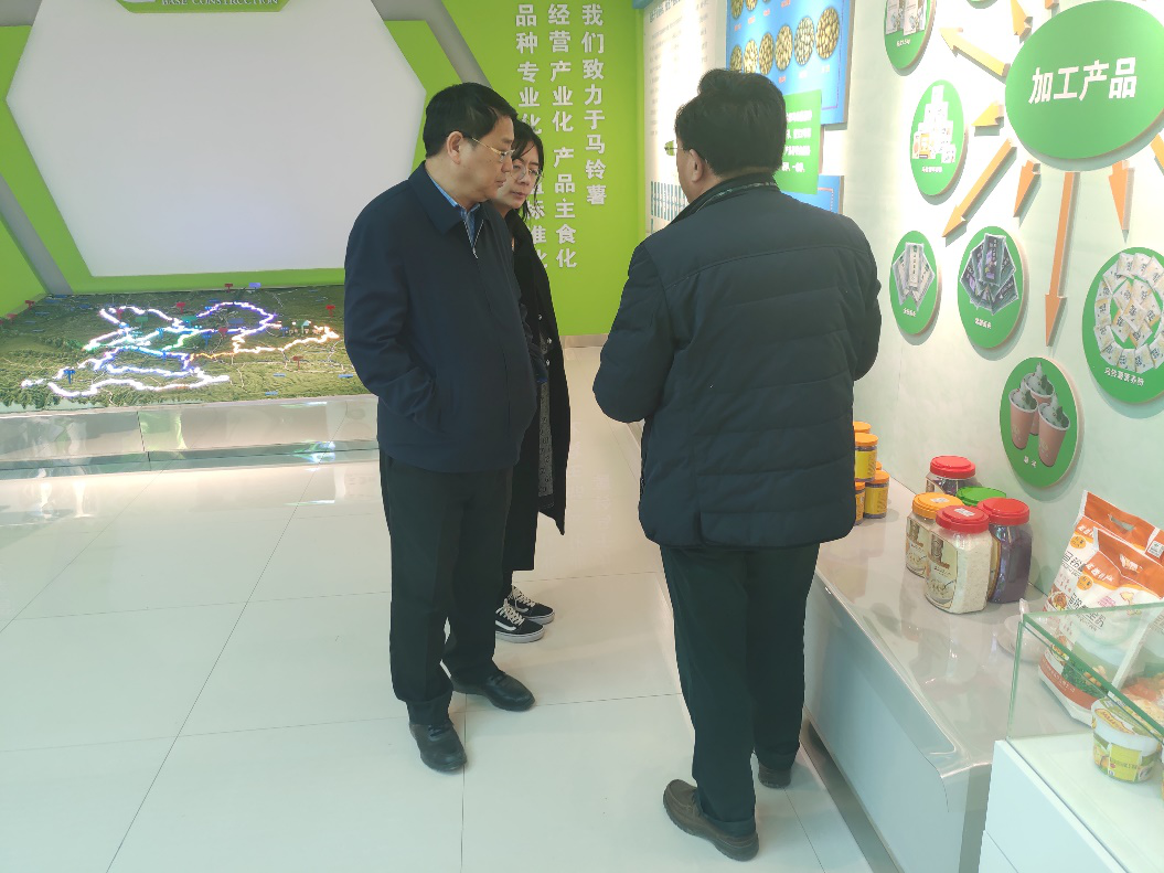 “中國(guó)薯都”再奏新旋律，定西市安定區(qū)開(kāi)啟馬鈴薯產(chǎn)業(yè)發(fā)展新篇章