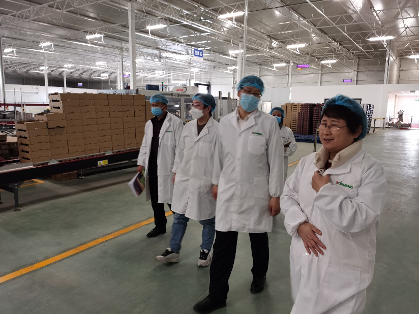 依托非耕地高效設(shè)施農(nóng)業(yè)，民樂縣著力打造特色戈壁農(nóng)業(yè)國家現(xiàn)代農(nóng)業(yè)產(chǎn)業(yè)園