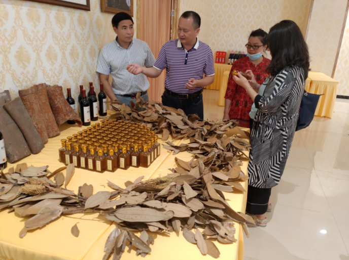 龔州大地，龍眼飄香-平南現代農業正釋放科技創新活力