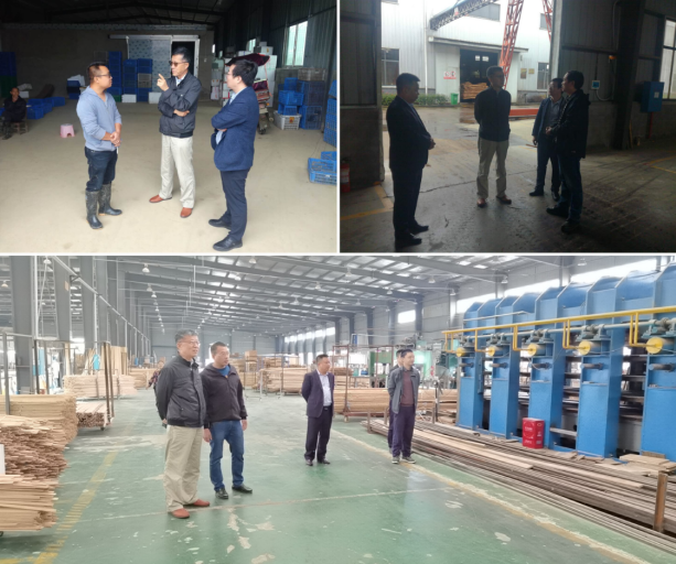 集聚頭腦風暴，為高質量編制桃江“十四五”規(guī)劃建言獻策