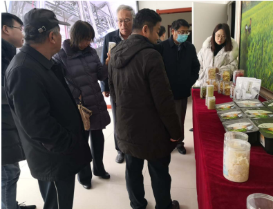 借力專家智慧，云州區蹄疾步穩邁向國家現代農業產業園