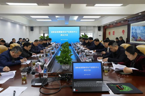 湘雁輸變電產(chǎn)業(yè)服務(wù)中心在長沙成立，湖南輸變電產(chǎn)業(yè)開啟發(fā)展新篇章