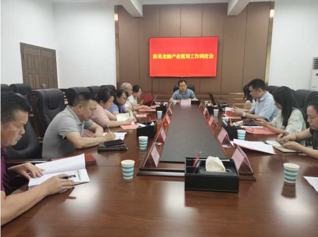 發(fā)力五型經(jīng)濟(jì)，著力打造“中國龍腦之都”