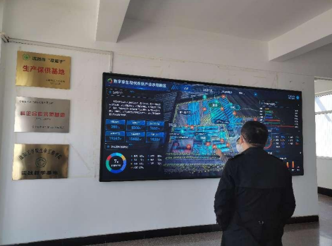 依托糧食和蔬菜兩大優(yōu)質(zhì)產(chǎn)業(yè),新民市向國家農(nóng)業(yè)現(xiàn)代化示范區(qū)邁進