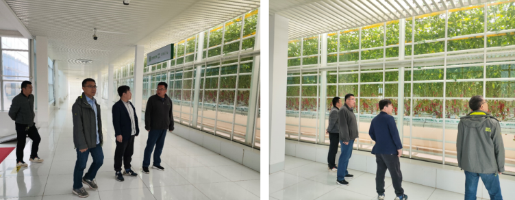 加強農業產業布局規劃，民樂縣向農業強縣進發