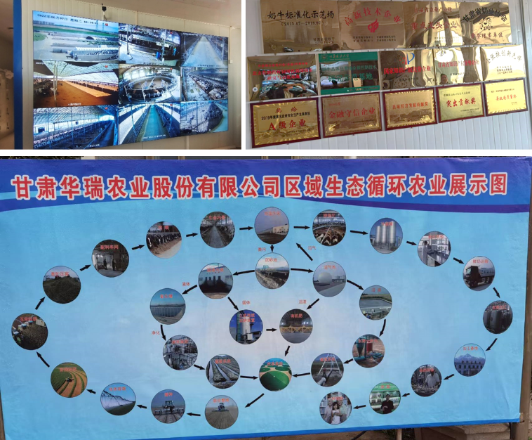 加強農業產業布局規劃，民樂縣向農業強縣進發